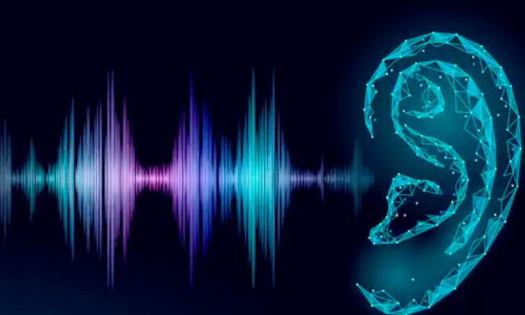 声音的传播需要什么?