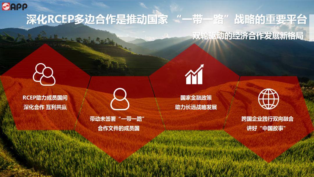 「头条」金光集团app(中国)为rcep推动全球治理体系改革建言献策