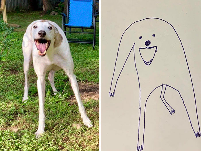 变身狗绘画作品图片