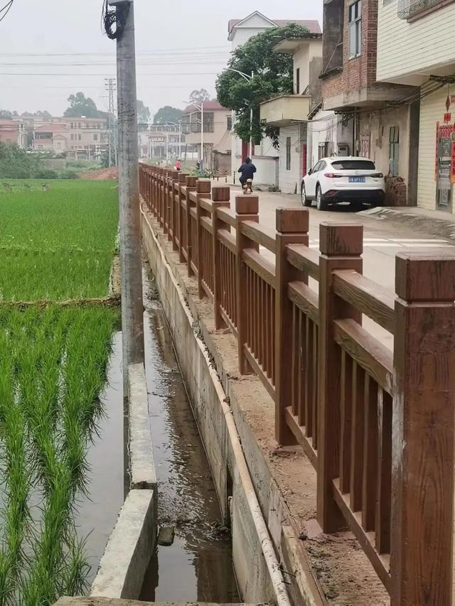 新兴县水台镇:群众出行有困难?工作队帮忙解决!