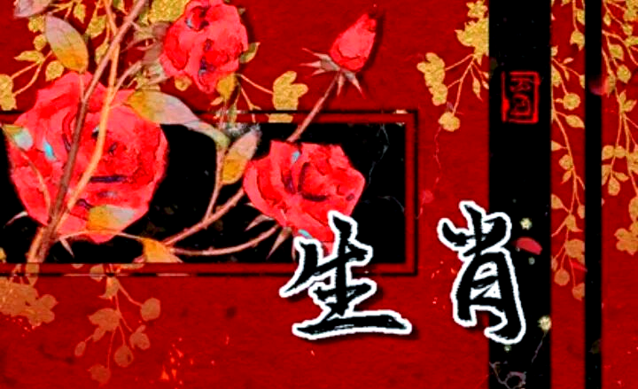 今日生肖财运爱情运势大全(今日生肖财运爱情运势大全图)