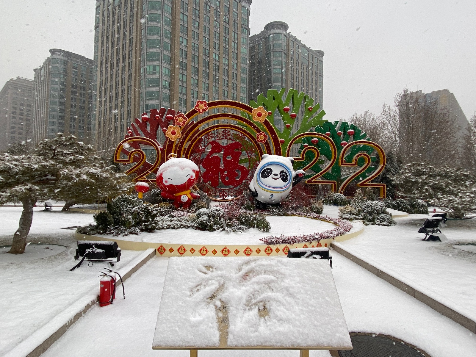 北京冬奥会冰雪花图片