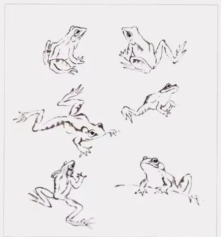 青蛙的画法,简单易学!