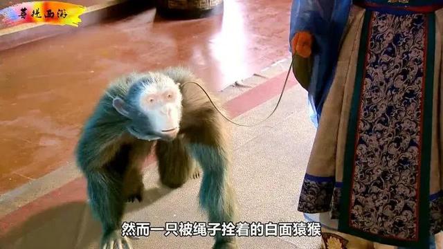 西岐三宝之一:白面猿猴