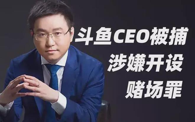 揭秘斗鱼涉赌风波:ceo险走火入魔,网红平台逐利倒途?