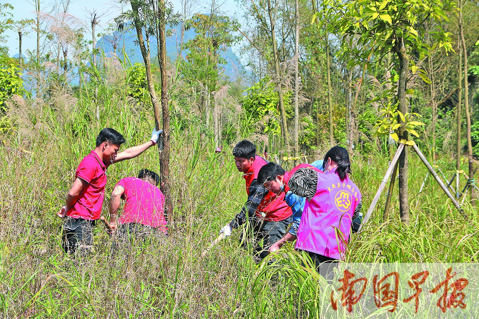 廣西大新黑水河國家溼地公園新增溼地植物48種,新增脊椎動物52種