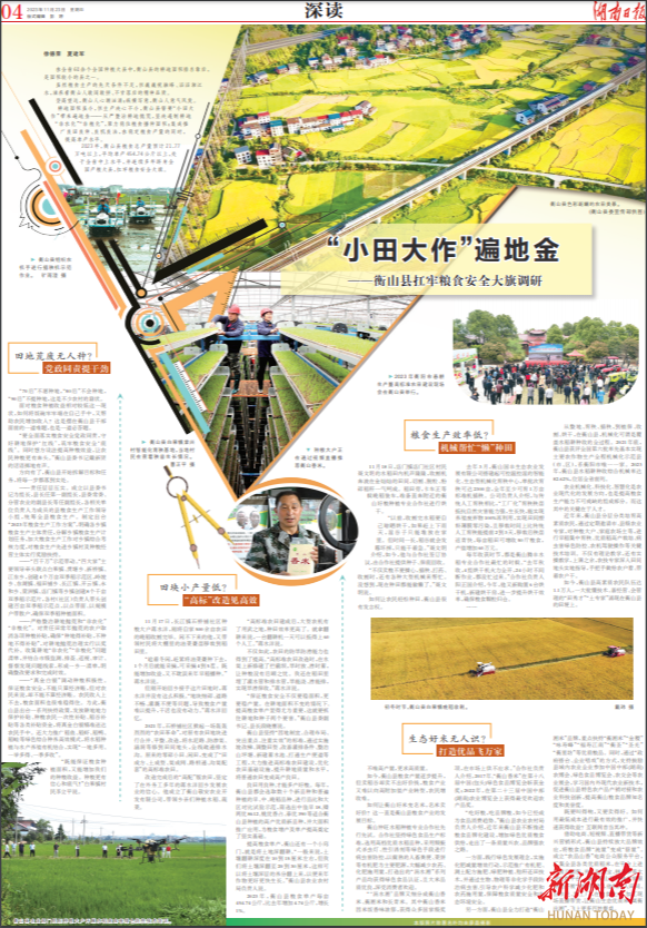 湖南日报·深读丨"小田大作"遍地金—衡山县扛牢粮食安全大旗调研