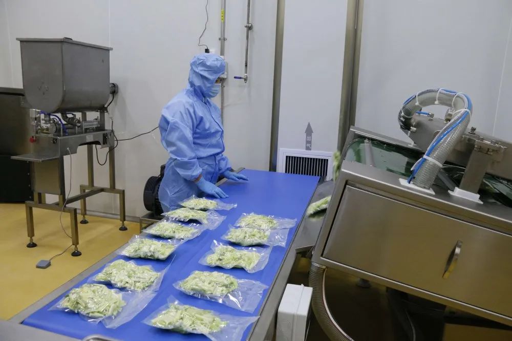 产品展示 不切段真空包装 上下滑动查看芹菜洗消,包装流程 包子刹产
