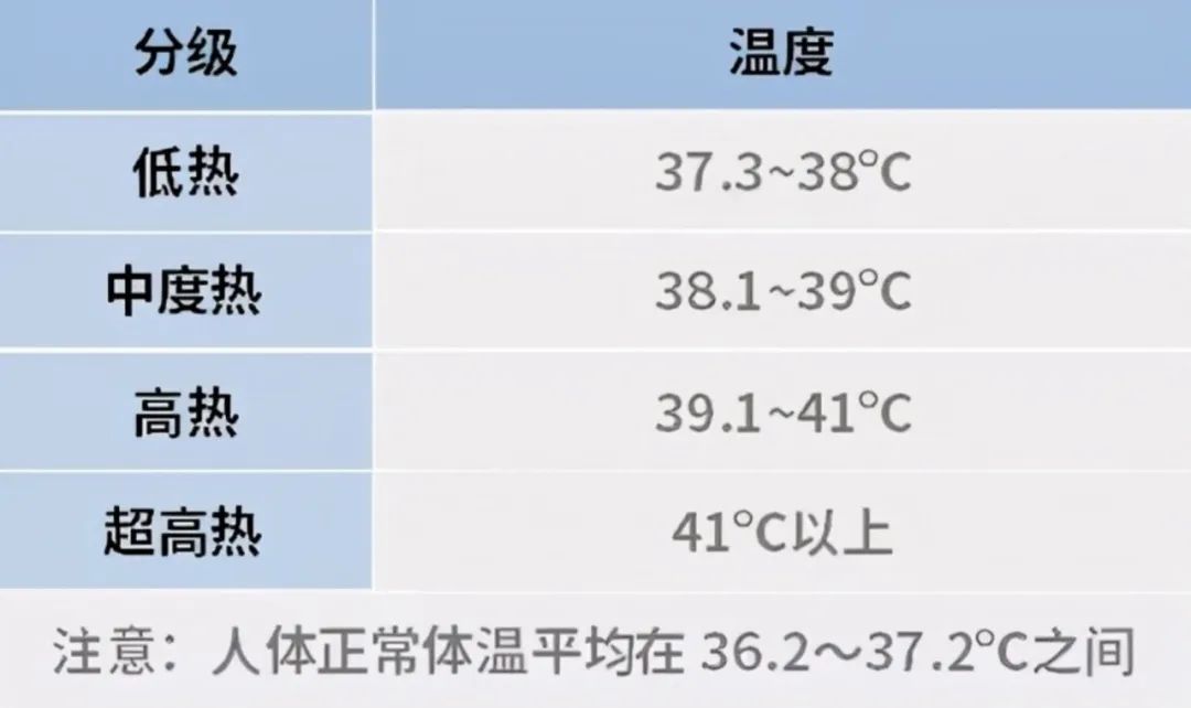 各式各样的体温计