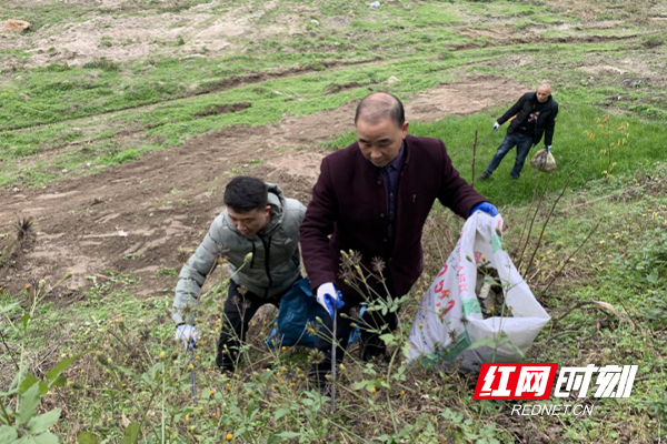 拆鸡棚铲菜地清垃圾 平江县南江镇按下河道"美颜键"