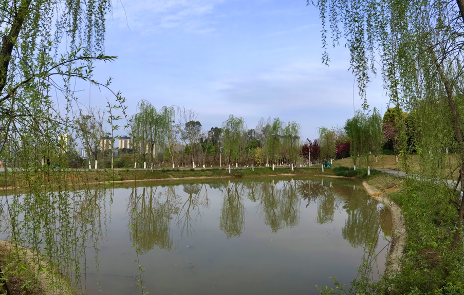 德园景区:鲜花烂漫,春色满园