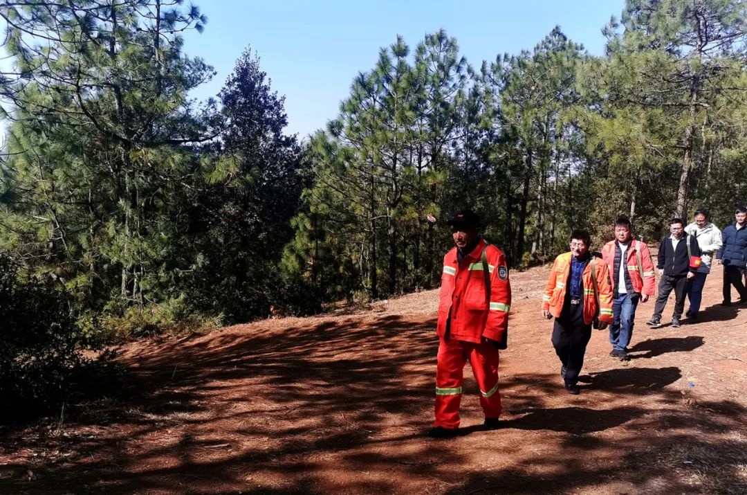 威寧縣黑石頭鎮:守護綠色青山 織牢萬頃林木