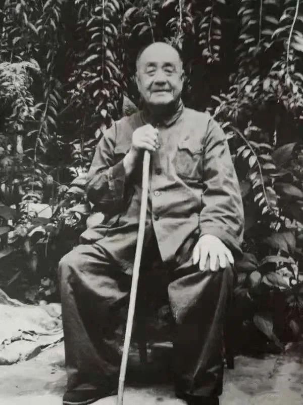 「名家名作」王森然 · 大写意作品欣赏