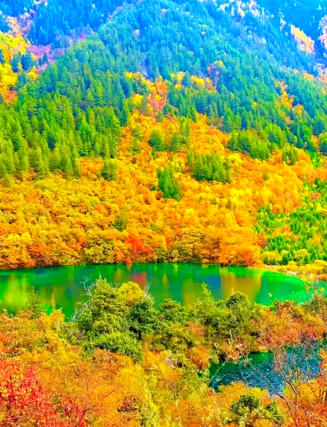 九寨沟风光:四季更迭中的动人景致