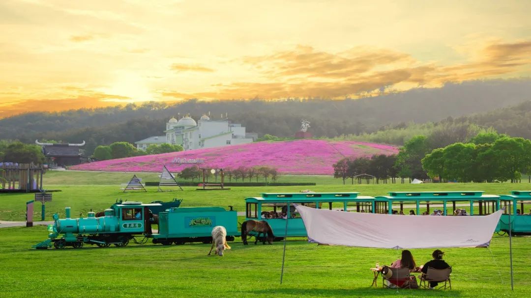 壁纸 草原 桌面 1080_607