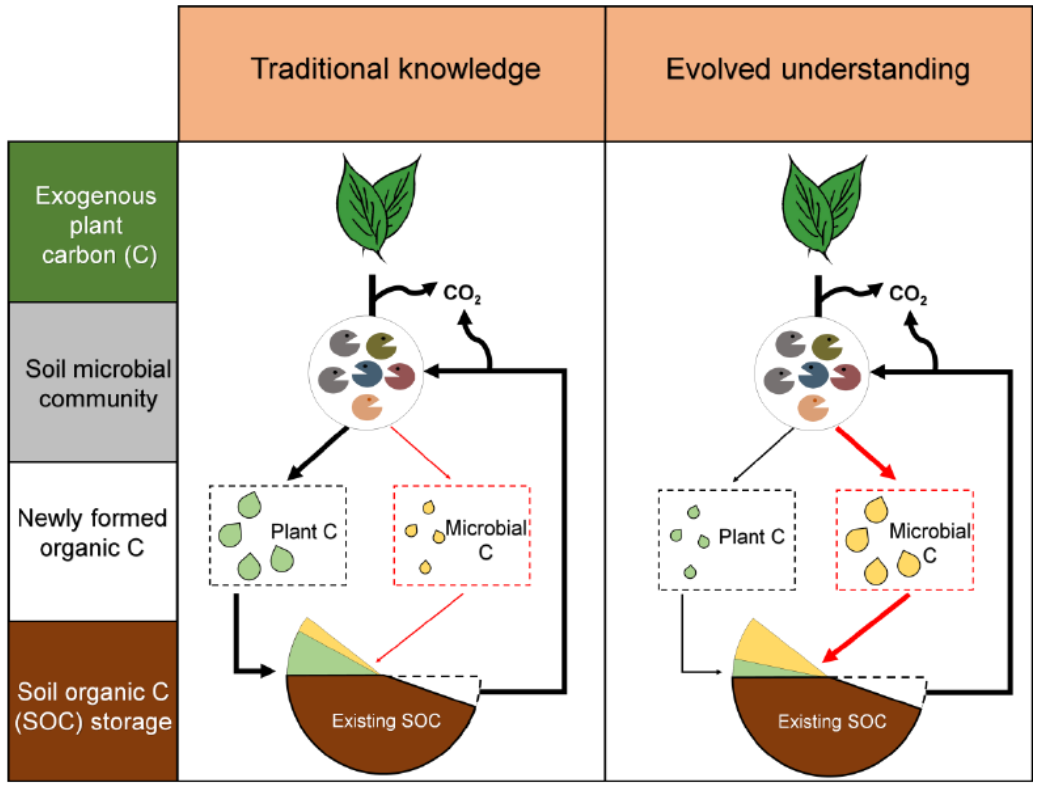 微泵- 优质问答专区