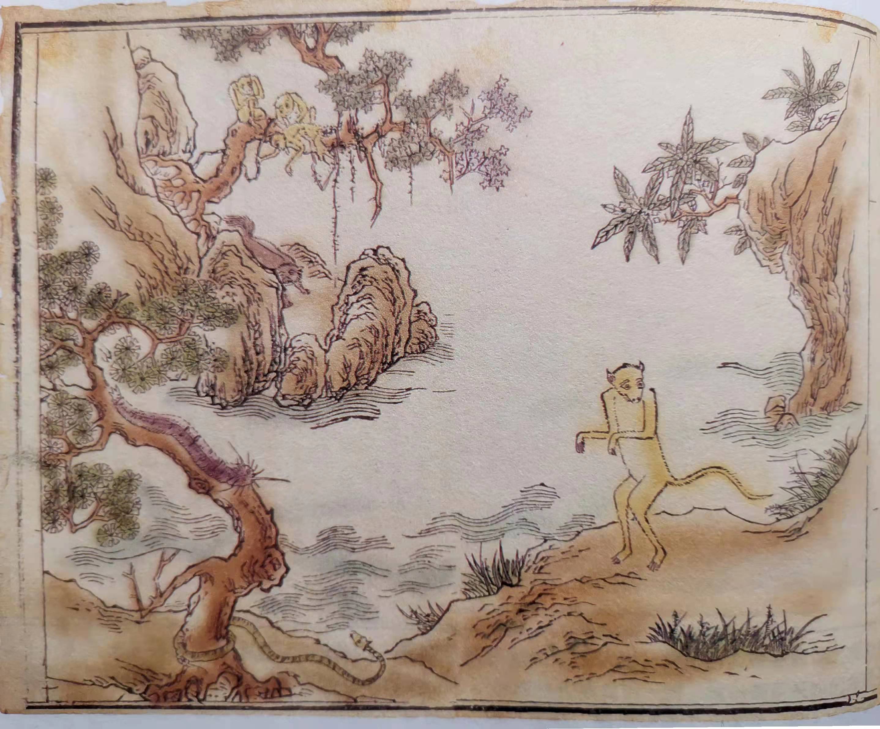 山海经里的神秘异兽——狌狌
