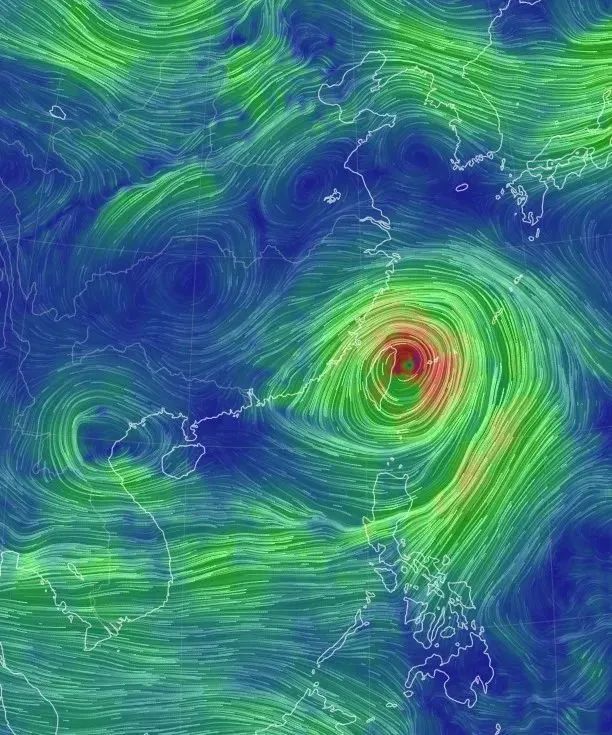 台风蓝色预警!明起申城风力大增,阵风可达7-8级