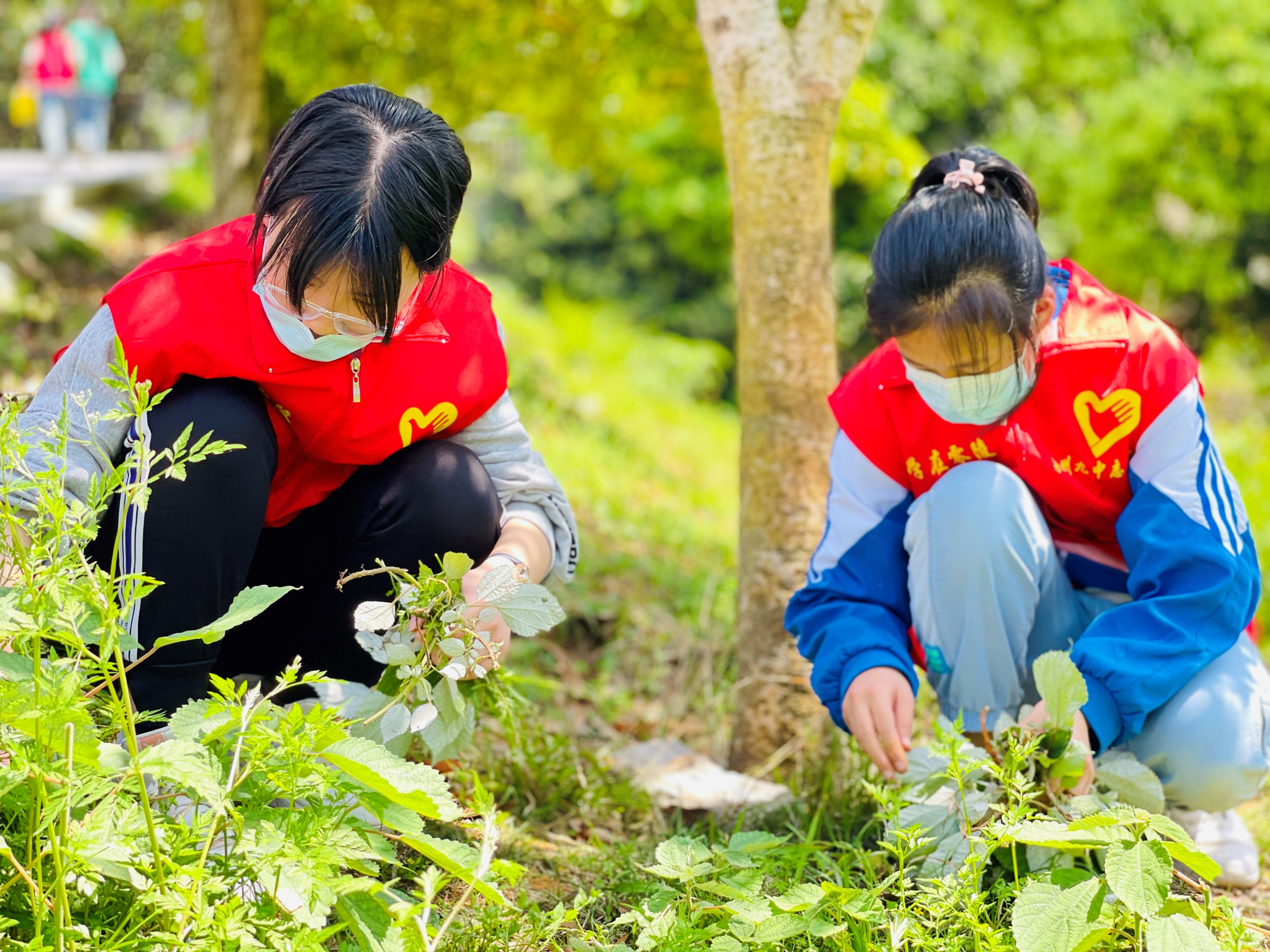 永州九中开展"清除杂草 美化校园"志愿服务活动