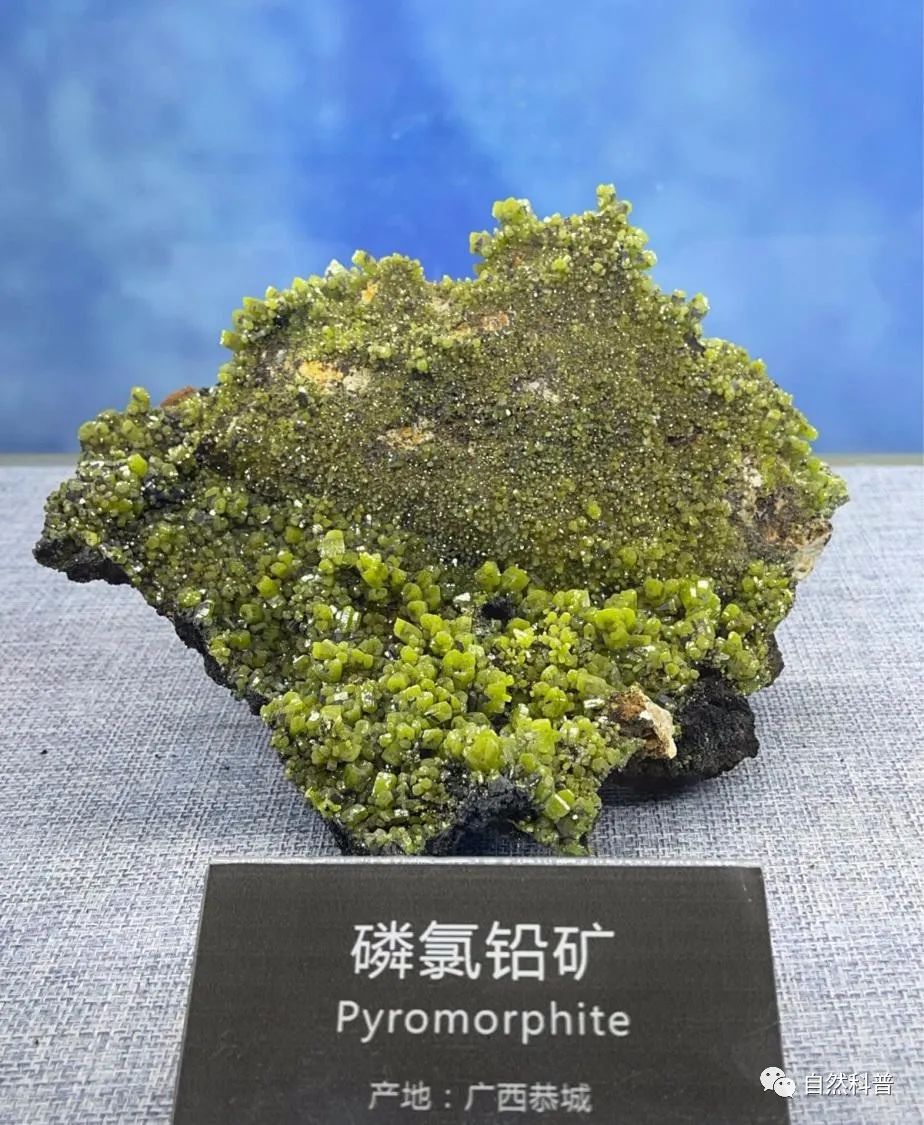 广西特色矿物晶体—磷氯铅矿