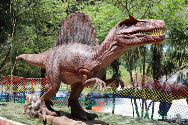 免费送票!毕节新增一主题公园