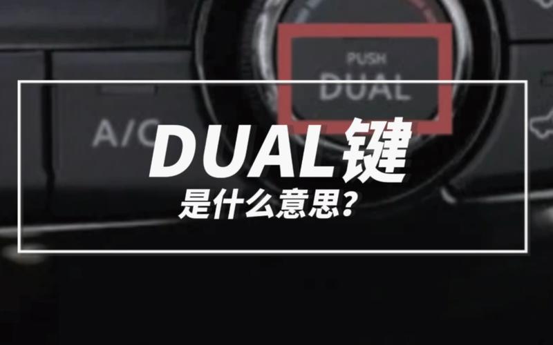 dual是什么意思车上的图片