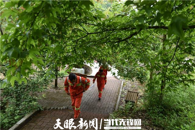 "护花使者"林锡斌:十年如一日守护者世界上最大的天然花园