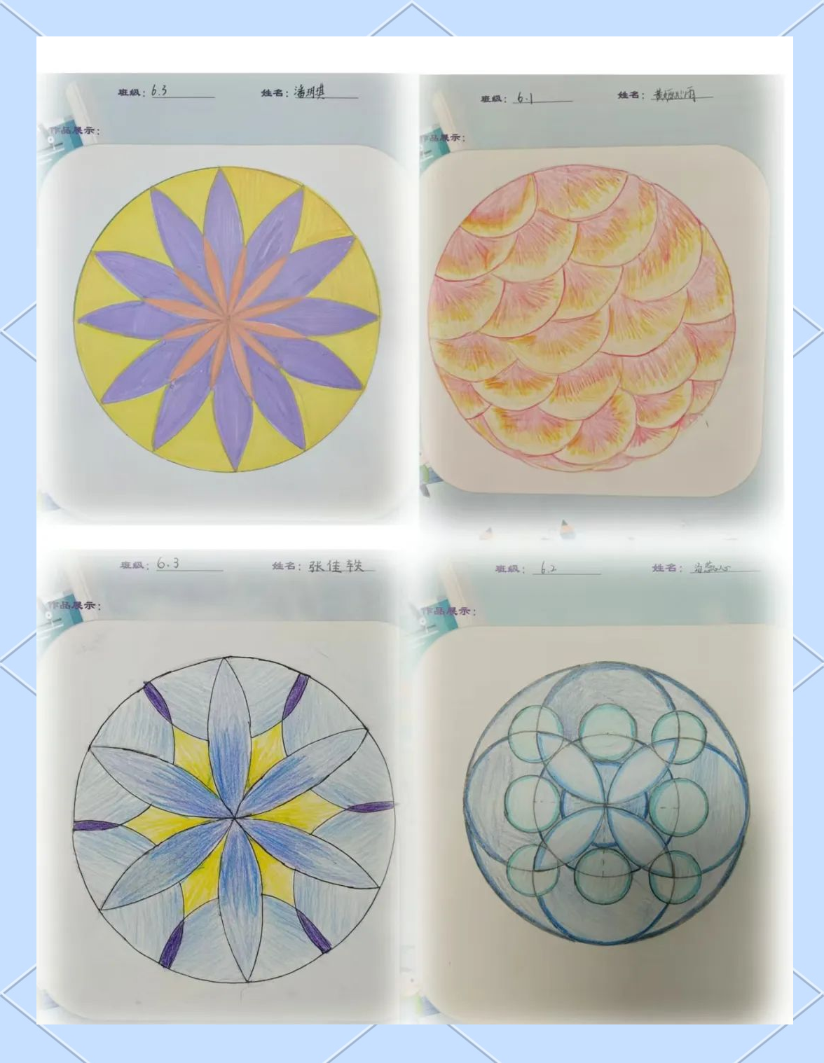 探索圆之魅力,绽放创意之光