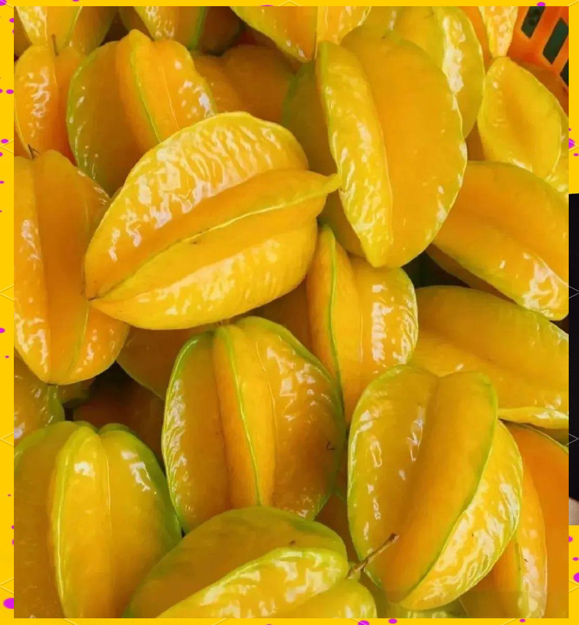 海南热带水果天堂,这些水果不容错过