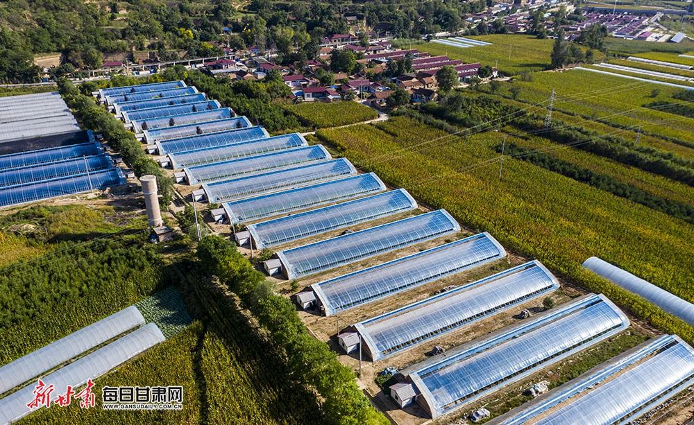 合水县固城镇:火龙果带来火红的日子