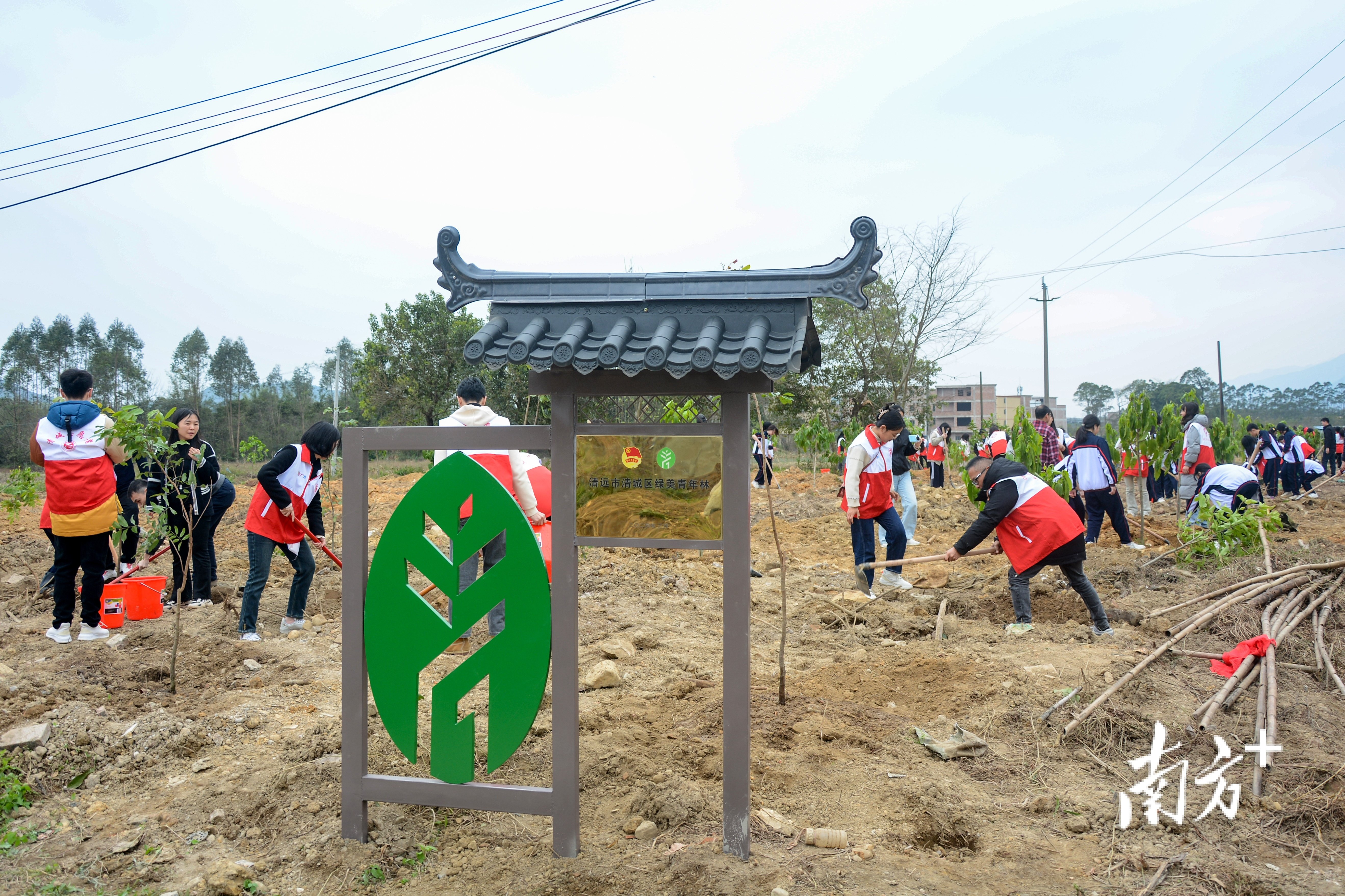 郧县青年林公园简介图片