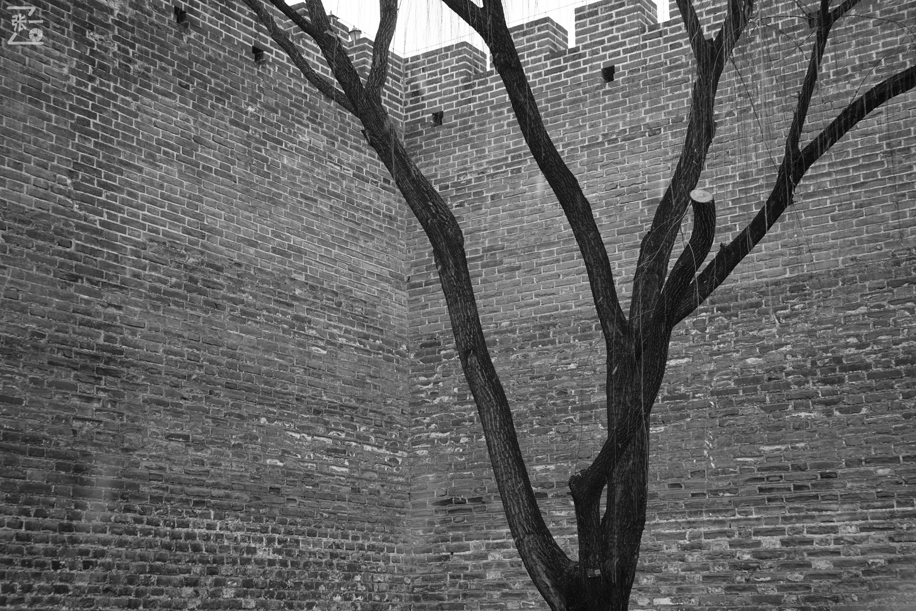 黑白调:苏联旁轴用50/1.5镜头实拍雪中明城墙遗址!