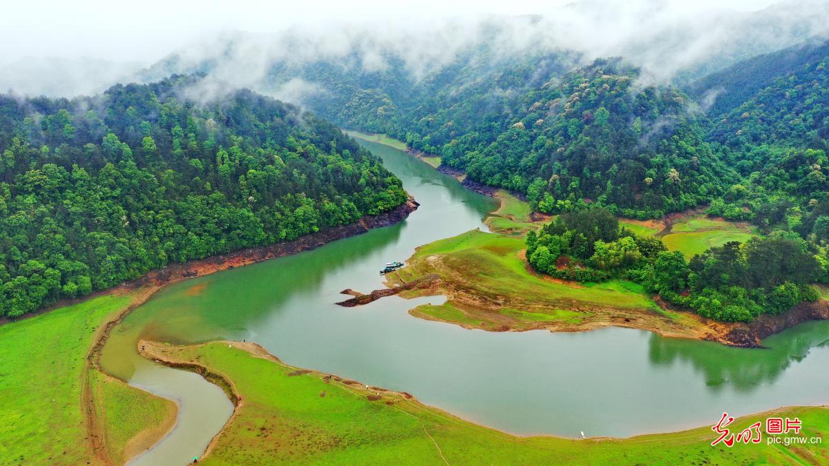 【光明图刊】《湿地保护法》为"地球之肾"保驾护航