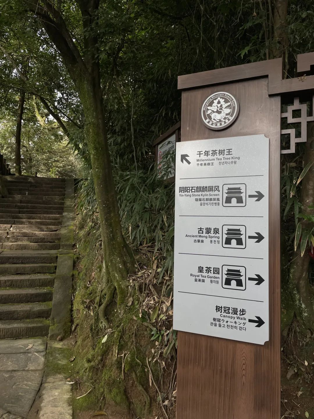 雅安上里天气预报