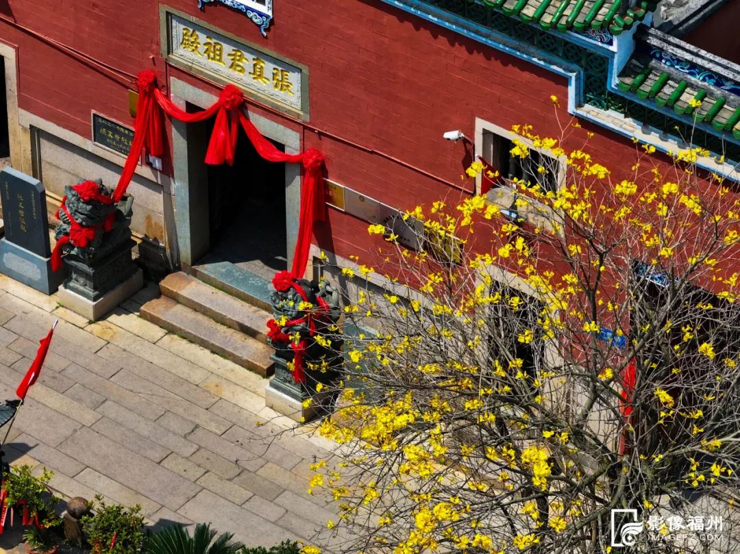 花开了!福州春日追花地图上线!