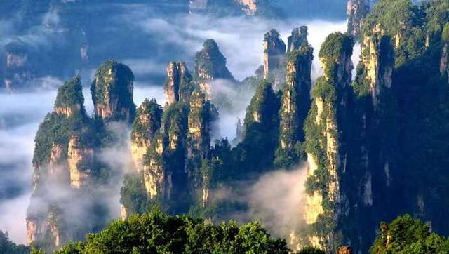 风景无边，爱心无界：为“壮士断腕”关闭景区的张家界加油