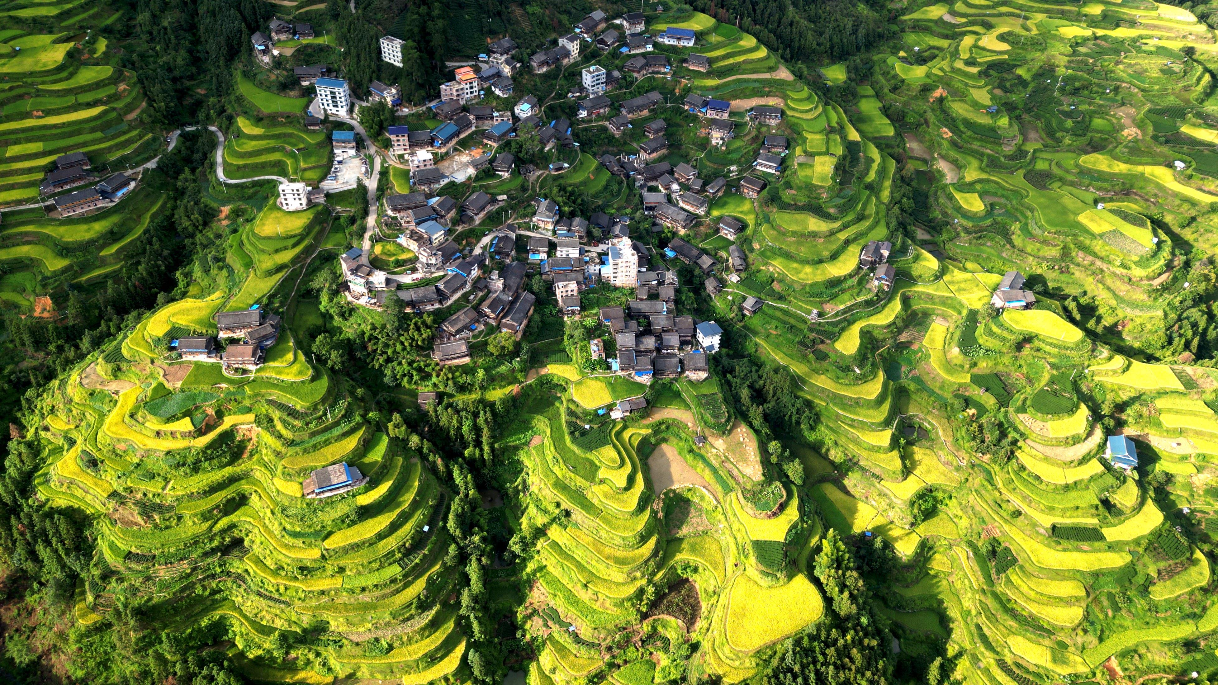 美如画卷!广西三江高山梯田秋色浓