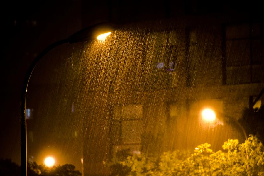 春天夜晚下雨的图片图片