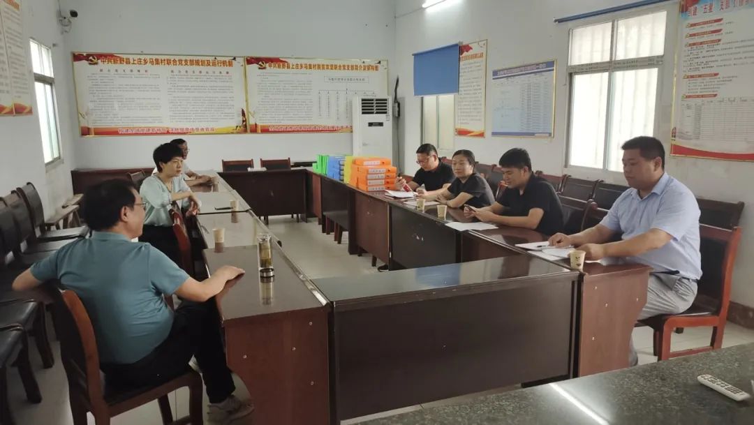 新野县委副书记孙国徽到上庄乡调研指导"五星"支部创建工作