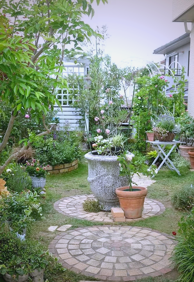 diy爱好者打造的月季花园,充满个人风格