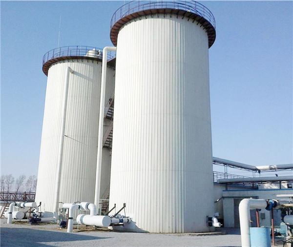 ic厌氧反应塔 厌氧反应器