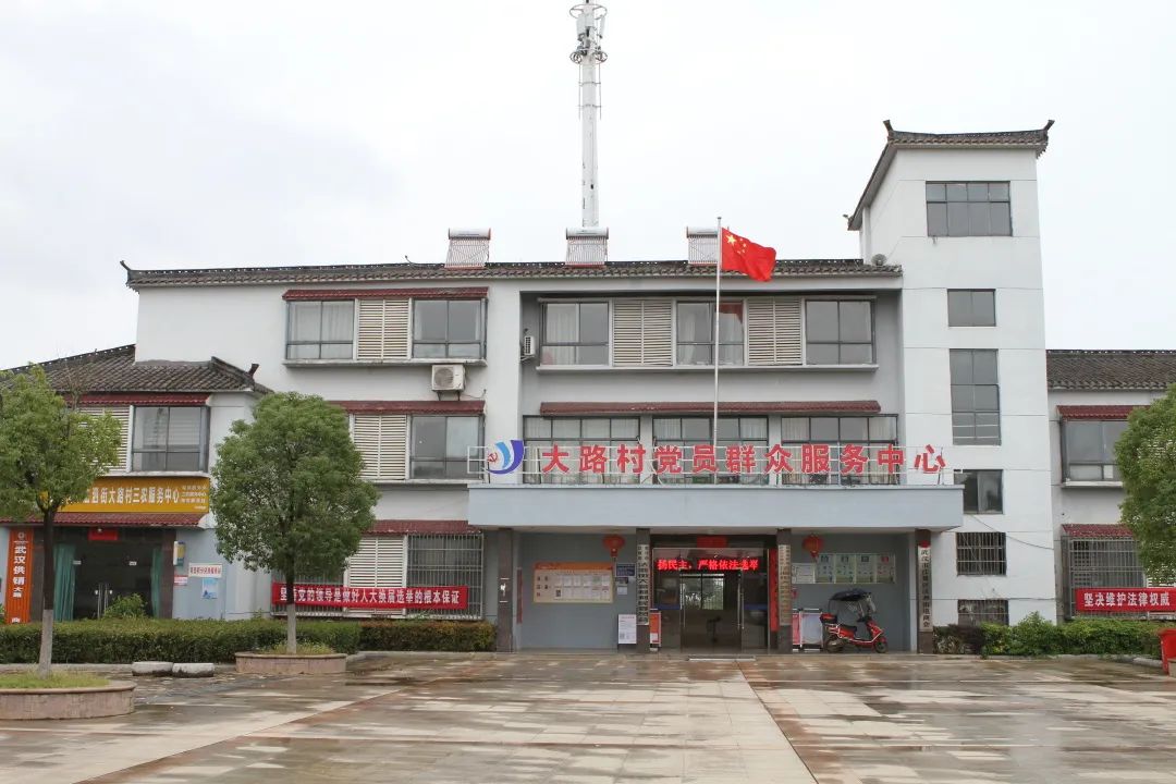 武汉地铁集团走进江夏区法泗街大路村