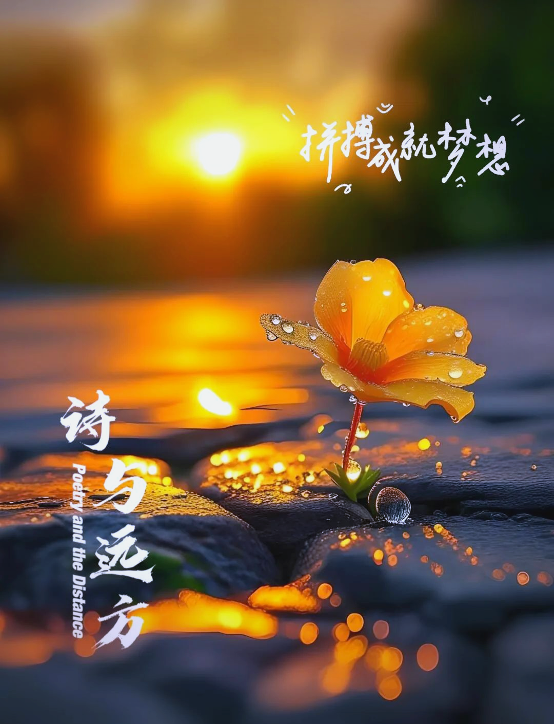 美文精选‖励志短句,触动人心的文字,值得收藏!