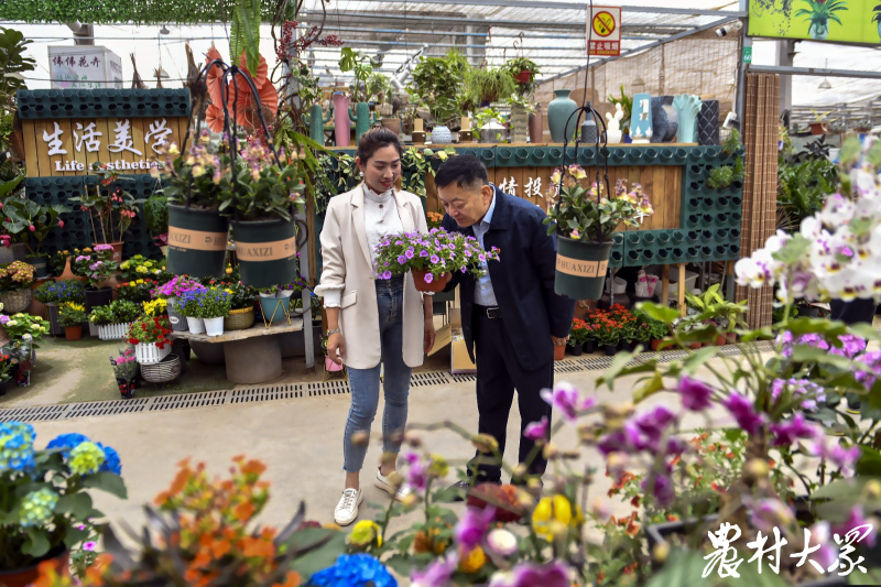 齐鲁最美退役军人王俊仁的共富经:"先治坡,后置窝" 发展