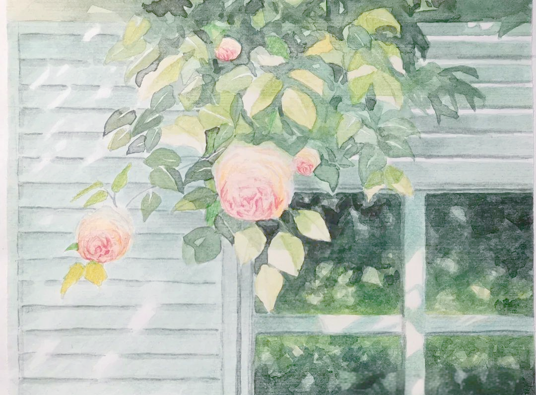 阿部智幸的水彩画艺术:宁静与感动的视觉交响