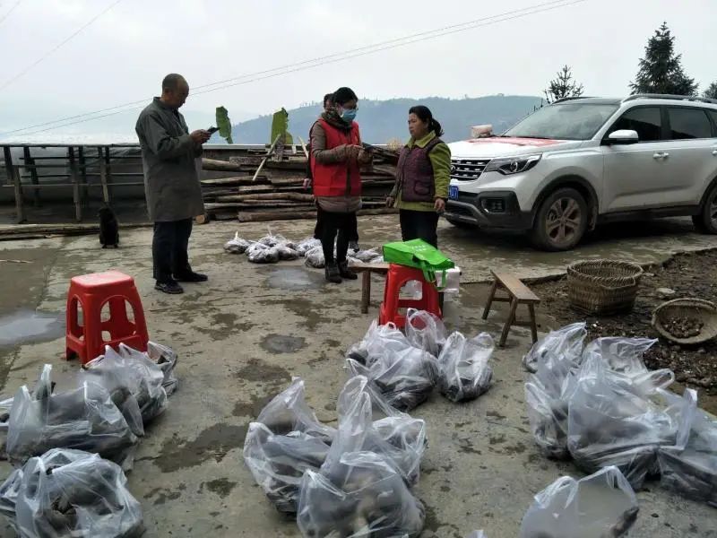 「致敬优秀基层执委」巴渝巾帼不让须眉—袁俊霞