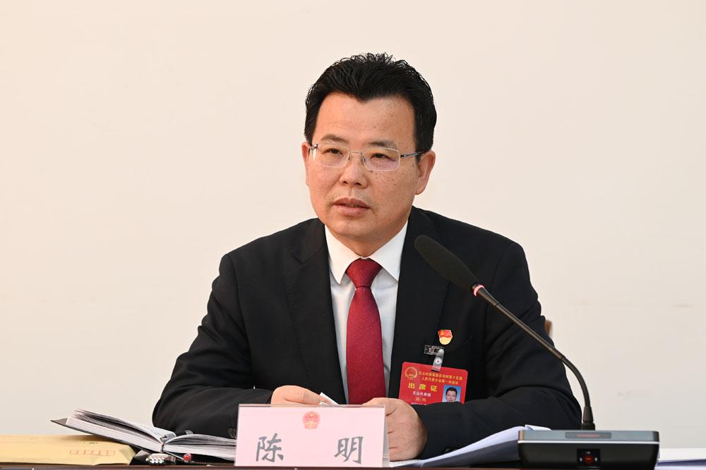 陈明参加文山市代表团审议时强调:深入开展"强州府"行动全力打造世界"