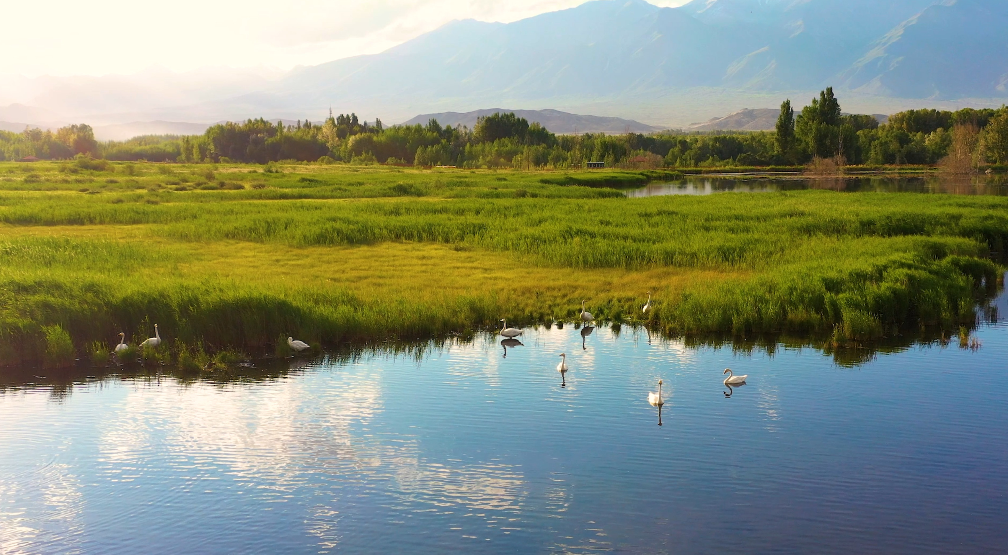千城胜景|新疆博州:湿地余晖 博尔塔拉河