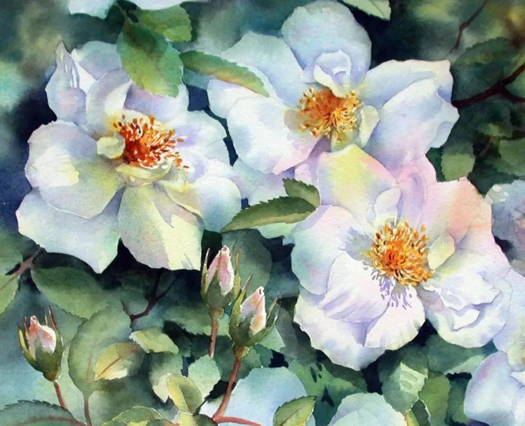 太绝了!20年画龄的水彩老师笔下的美丽花卉,张张精品