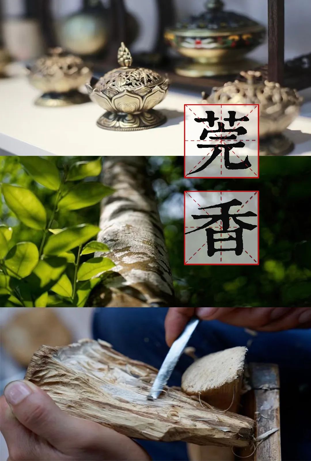 氤氲莞香 夏日悠长